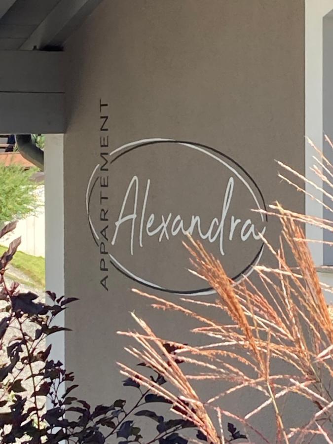 Appartement Alexandra Neukirchen am Großvenediger Esterno foto